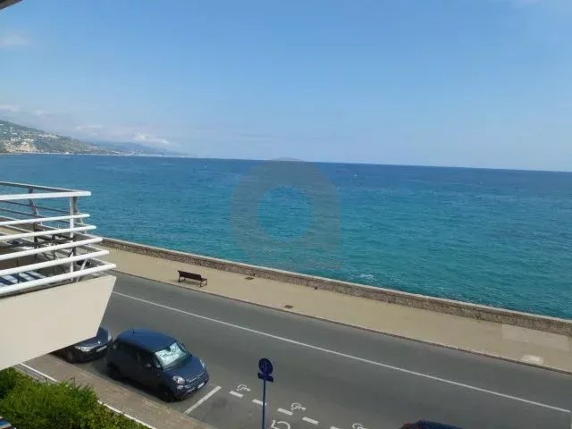 A LOUER STUDIO FRONT DE MER AVEC TERRASSE ET CAVE