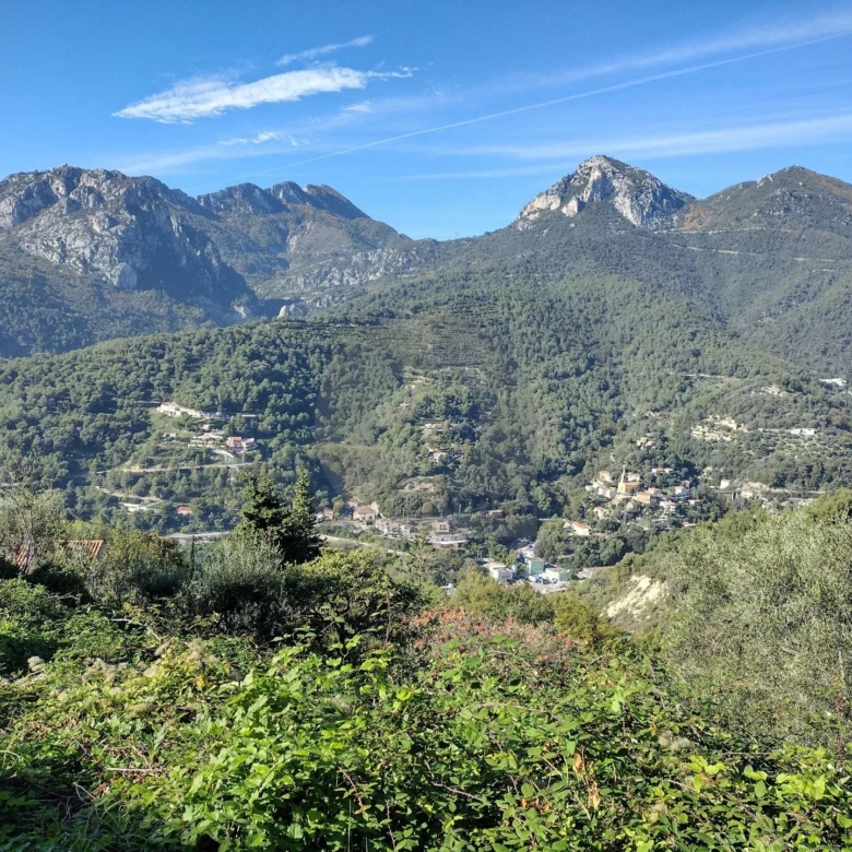 CASTELLAR : A LOUER 3P MEUBLE AVEC JARDIN
