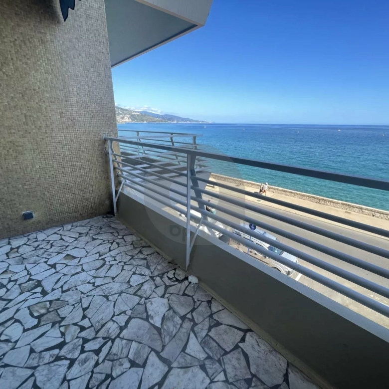 A LOUER STUDIO FRONT DE MER AVEC TERRASSE ET CAVE