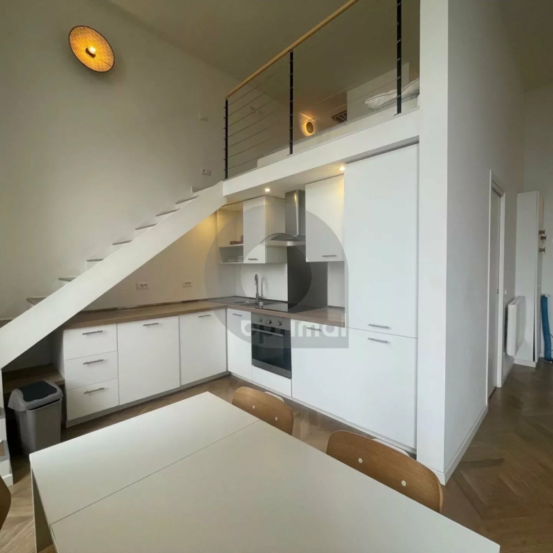 A louer : Appartement meublé esprit loft