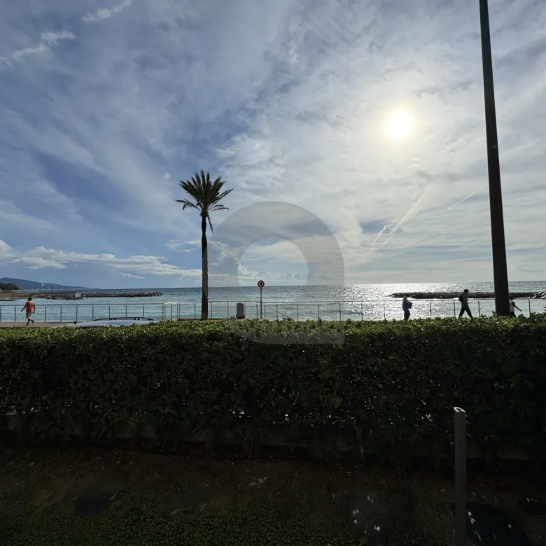 ROQUEBRUNE 2 PIÈCES BORD DE MER GARAGE JARDIN